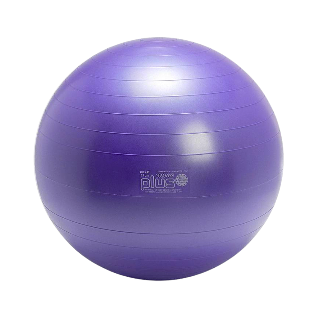 PELOTA GYMNIC PLUS 65 CM DIAM MORADO COD 95.26 LDP