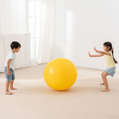 PELOTA GYMNIC PLUS 65 CM DIAM AMARILLO COD 95.42 LDP